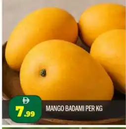 Bigmart Mango Mangoes offer