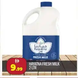 Bigmart HAYATNA Fresh Milk offer
