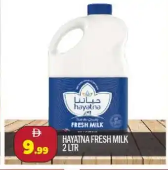 Bigmart HAYATNA Fresh Milk offer
