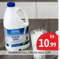 Bigmart MARMUM Fresh Milk offer