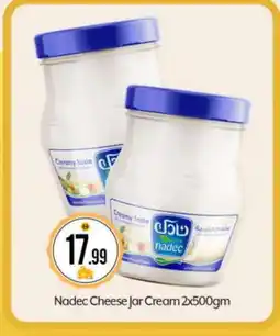 Bigmart NADEC Cream Cheese offer