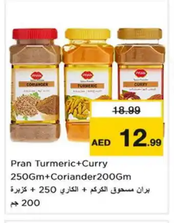 Nesto PRAN Spices / Masala offer