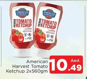 Al Madina AMERICAN HARVEST Tomato Ketchup offer