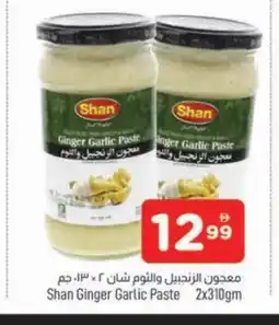 Al Madina SHAN Garlic Paste offer