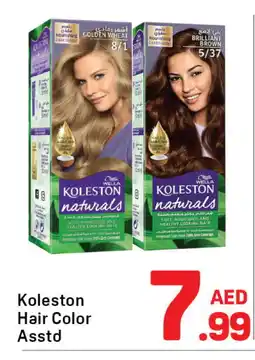 Day To Day WELLA Shampoo / Conditioner offer