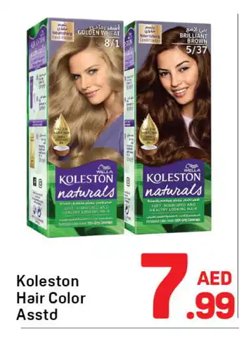 Day To Day WELLA Shampoo / Conditioner offer