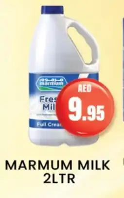 Zain Hypermarket MARMUM Fresh Milk offer