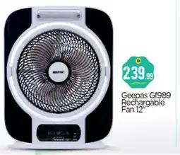 Bigmart GEEPAS Fan offer