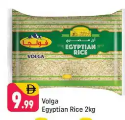 Shaklan VOLGA Egyptian / Calrose Rice offer