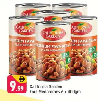 Shaklan CALIFORNIA GARDEN Fava Beans offer