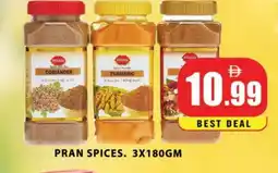 Al Madina PRAN Spices / Masala offer