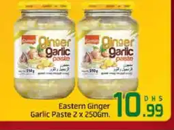 Al Madina EASTERN Garlic Paste offer