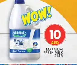 Al Madina MARMUM Full Cream Milk offer