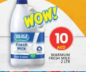 Al Madina MARMUM Full Cream Milk offer