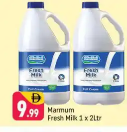 Shaklan MARMUM Full Cream Milk offer