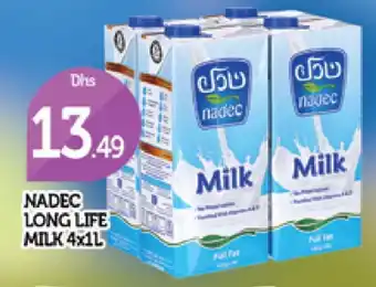 Al Madina NADEC Long Life / UHT Milk offer