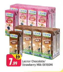 Shaklan LACNOR Flavoured Milk offer