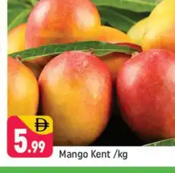 Shaklan Mango Mangoes offer