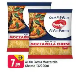 Shaklan AL AIN Mozzarella offer