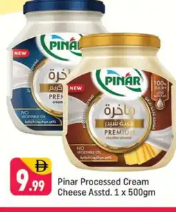 Shaklan PINAR Cheddar Cheese offer