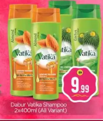 Bigmart DABUR Shampoo / Conditioner offer