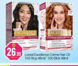 Bigmart loreal Hair Colour offer