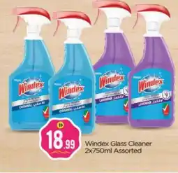 Bigmart WINDEX Glass Cleaner offer