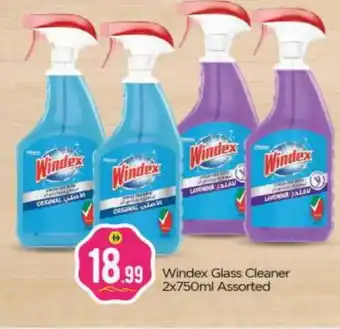 Bigmart WINDEX Glass Cleaner offer