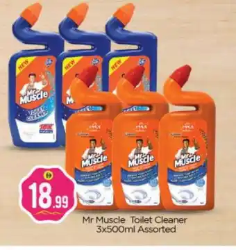 Bigmart MR. MUSCLE Toilet / Drain Cleaner offer