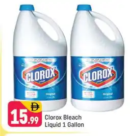 Shaklan CLOROX Bleach offer