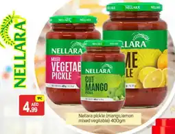 Talal Market NELLARA Pickle offer
