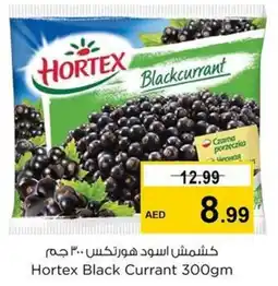 Nesto Hortex Black Currant offer