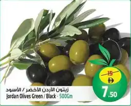 Safari Hypermarket Jordan Olives Green / Black offer