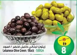 Safari Hypermarket Lebanese Olive Green / Black offer