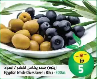 Safari Hypermarket Egyptian Whole Olives Green / Black offer