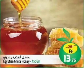 Safari Hypermarket Egyptian White Honey offer