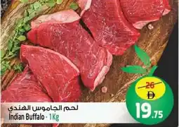 Safari Hypermarket Indian Buffalo offer