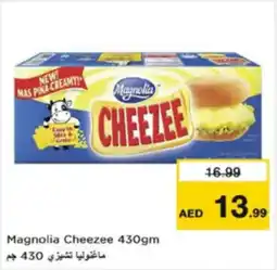 Nesto Magnolia Cheezee offer