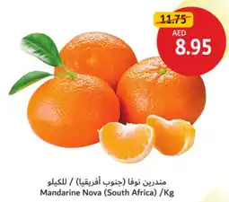 Union Coop Mandarine Nova offer