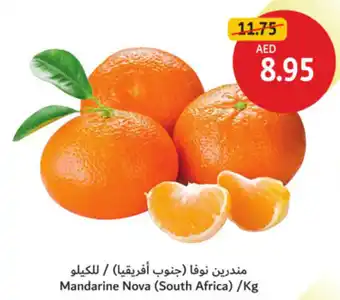 Union Coop Mandarine Nova offer
