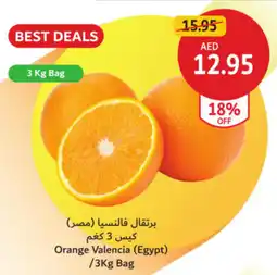 Union Coop Orange Valencia offer