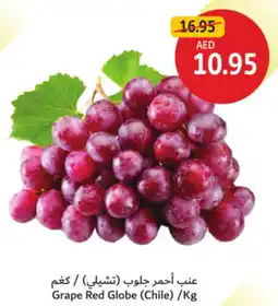 Union Coop Grape Red Globe offer