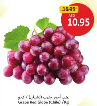 Union Coop Grape Red Globe offer