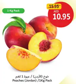Union Coop Peaches offer