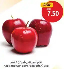Union Coop Apple Red with Extra Fancy offer