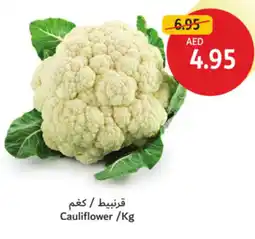 Union Coop Cauliflower offer