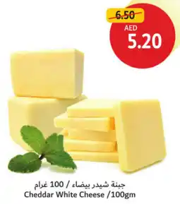 Union Coop Cheddar White Cheese offer