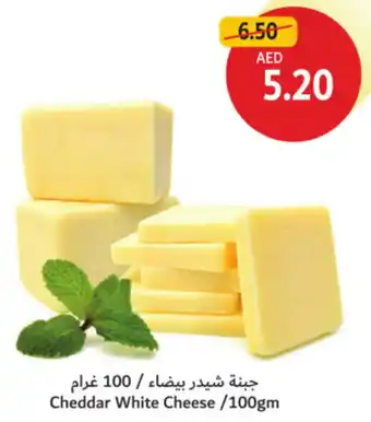 Union Coop Cheddar White Cheese offer