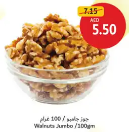 Union Coop Walnuts Jumbo offer