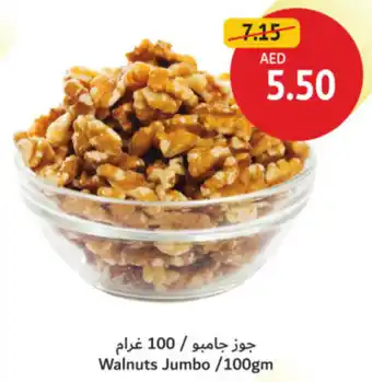 Union Coop Walnuts Jumbo offer